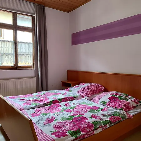 公寓 Gaestehaus Herda 布里德尔
