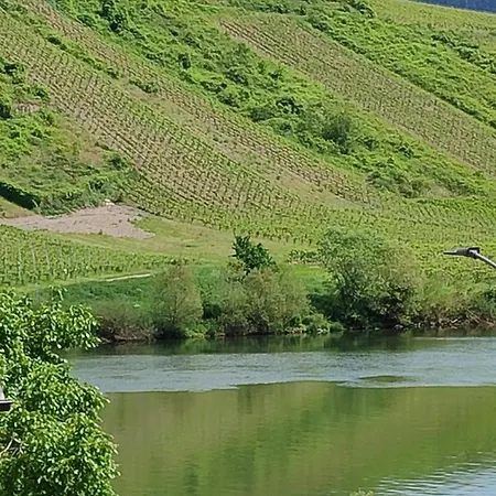 Apartmán Gaestehaus Herda Briedel